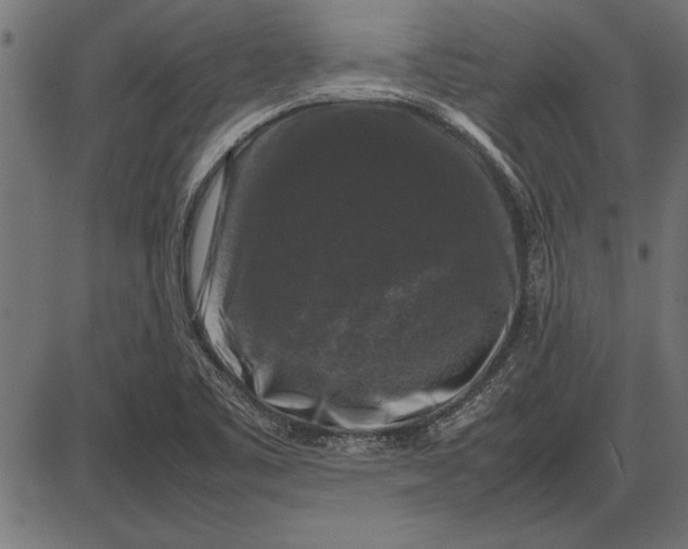 X0000086081461200704091248