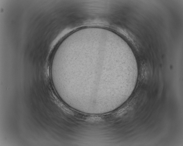 X0000086081462200704091248