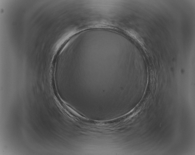 X0000086081463200704091248