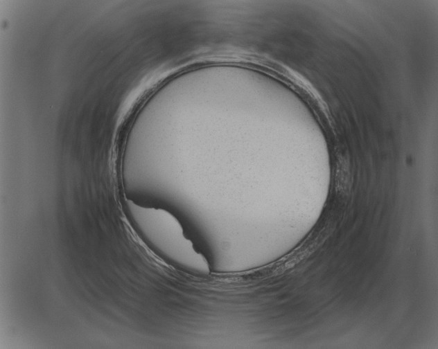 X0000086081464200704091248