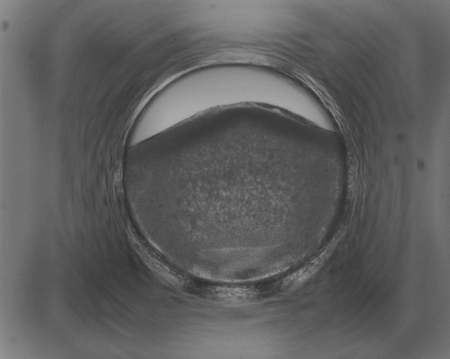 X0000086081465200704091248