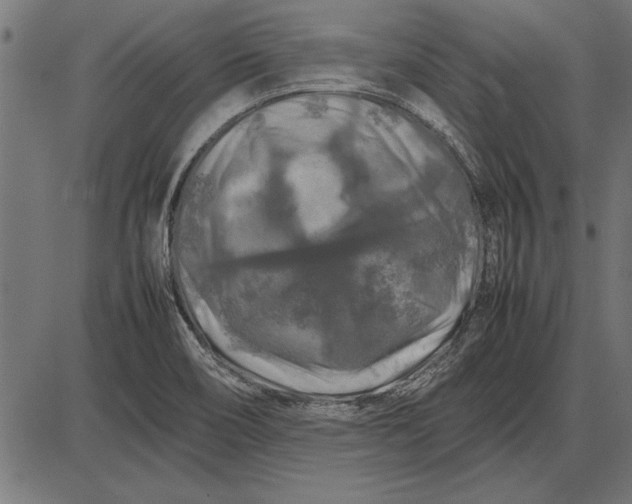 X0000086081466200704091248