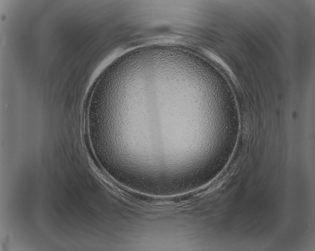 X0000086081467200704091248