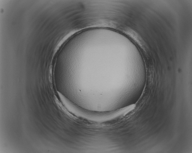 X0000086081468200704091248