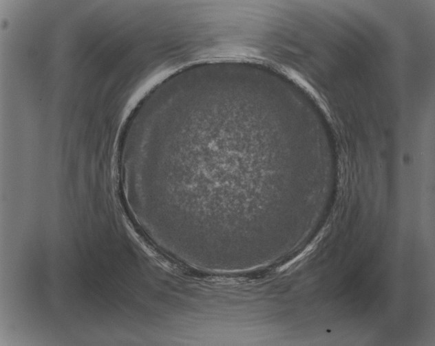 X0000086081469200704091248