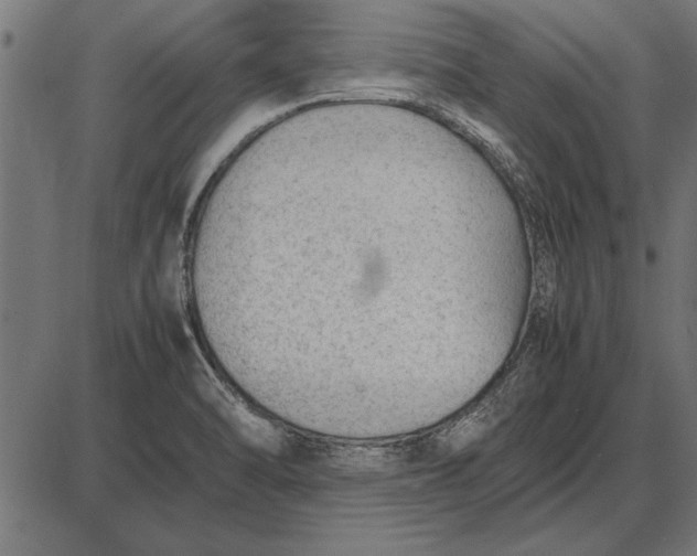 X0000086081470200704091248