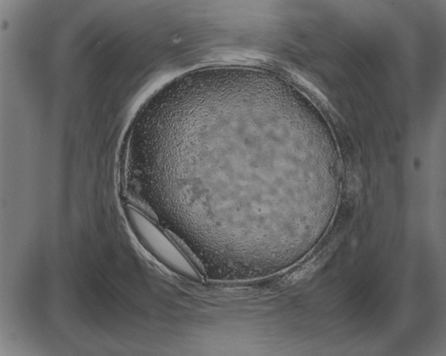 X0000086081471200704091248