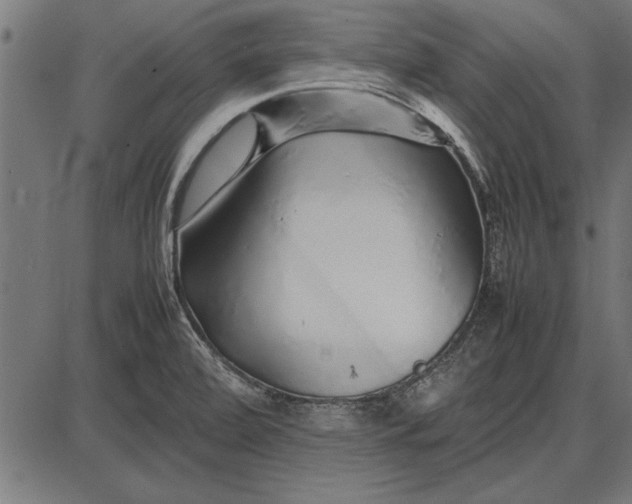 X0000086081472200704091248