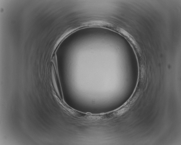 X0000086081473200704091248