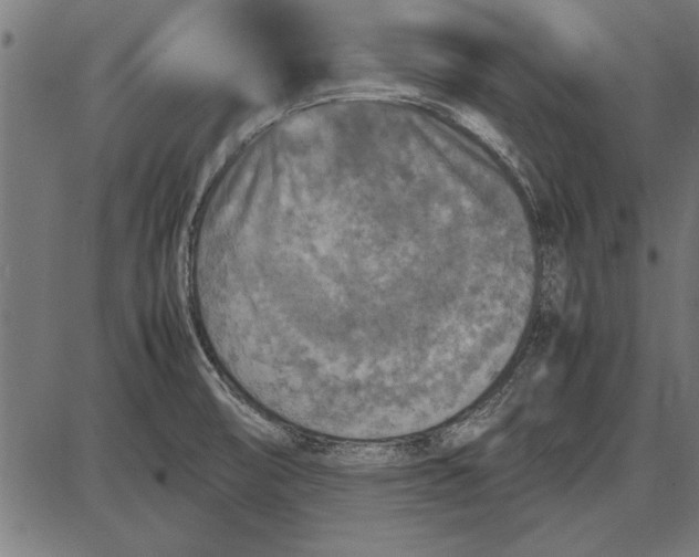 X0000086081474200704091248