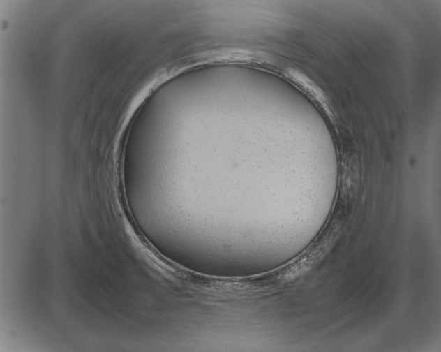 X0000086081475200704091248