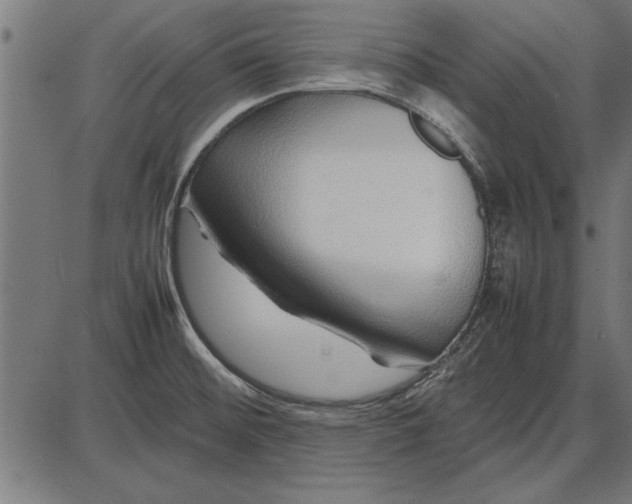 X0000086081476200704091248