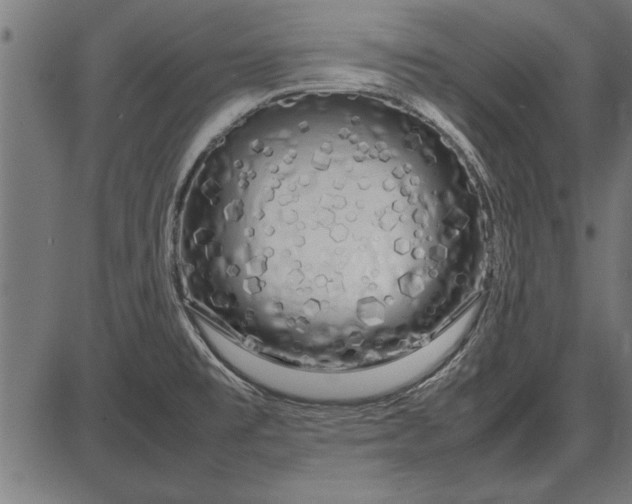 X0000086081477200704091248