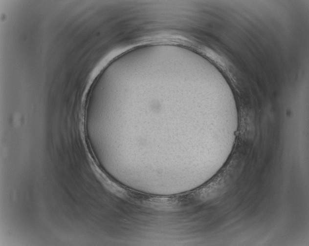 X0000086081478200704091248