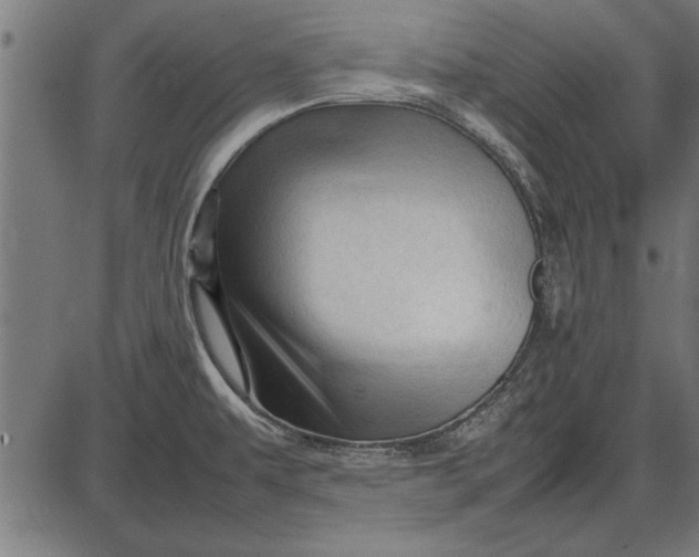 X0000086081479200704091248