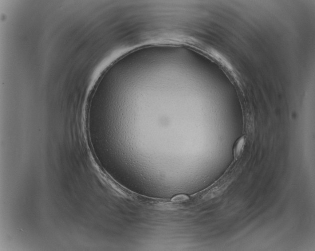 X0000086081480200704091248