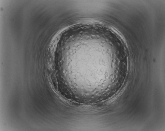 X0000086081481200704091248