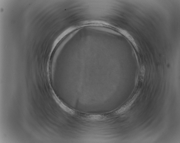 X0000086081482200704091248