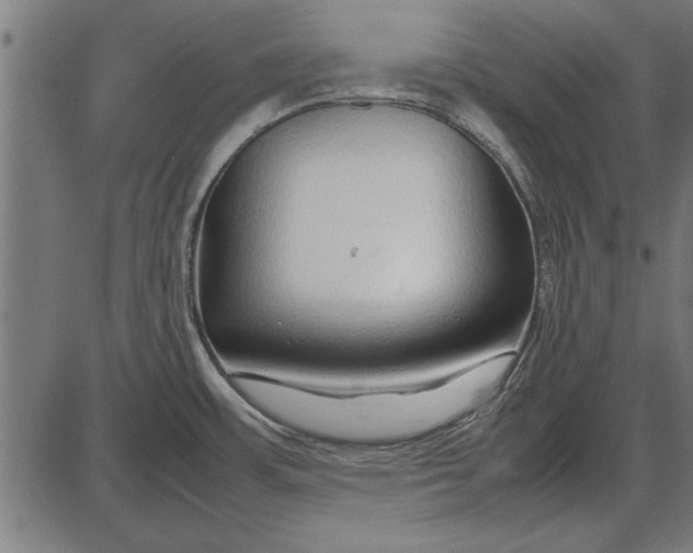 X0000086081483200704091248