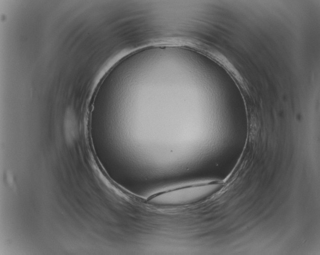 X0000086081484200704091248