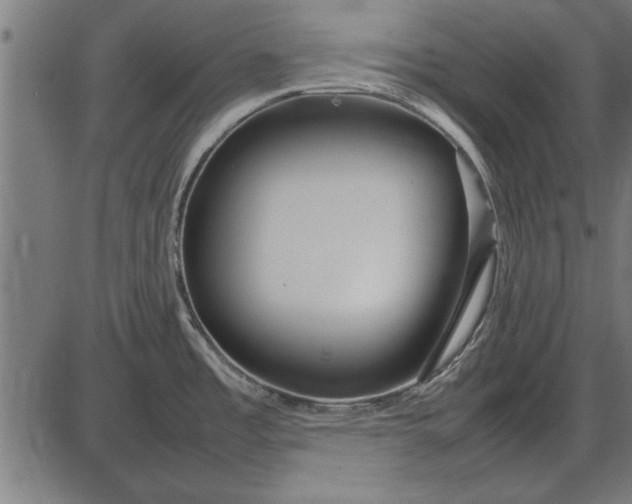 X0000086081485200704091248