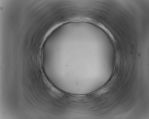 X0000086081486200704091248