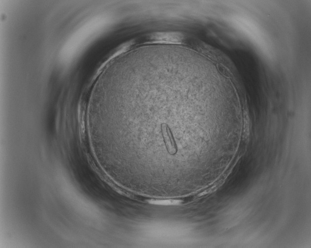 X0000086081487200704091248