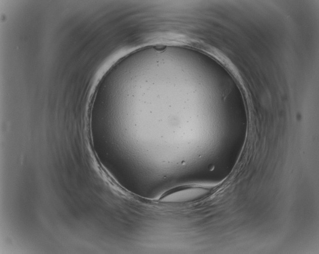 X0000086081488200704091248