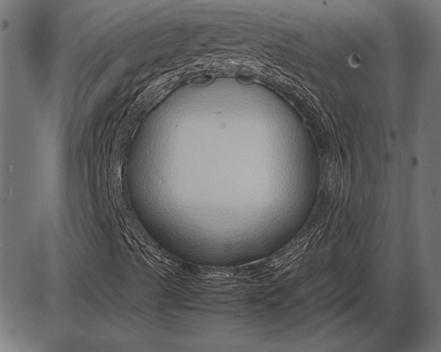 X0000086081489200704091247