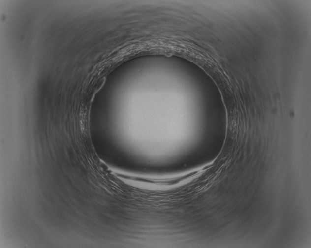 X0000086081490200704091247