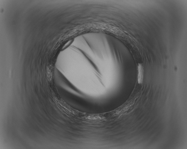 X0000086081491200704091247