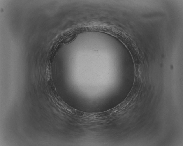 X0000086081493200704091247