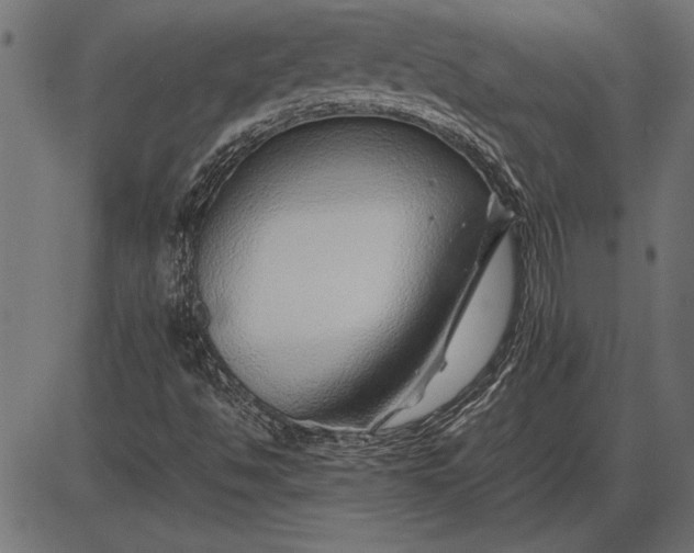 X0000086081494200704091247