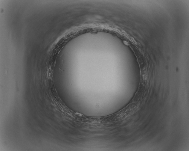 X0000086081495200704091247