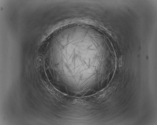 X0000086081496200704091247