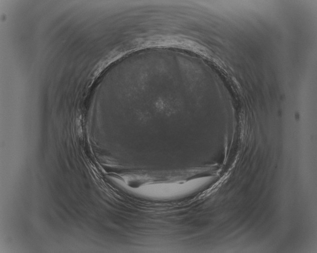 X0000086081497200704091247