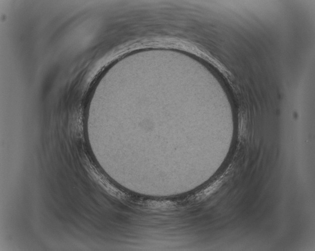 X0000086081498200704091247