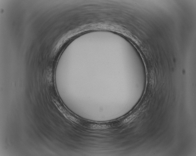 X0000086081499200704091247