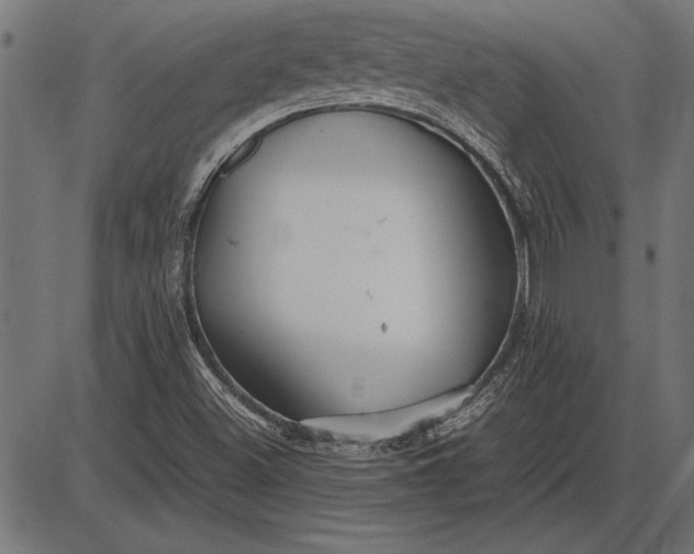 X0000086081500200704091247