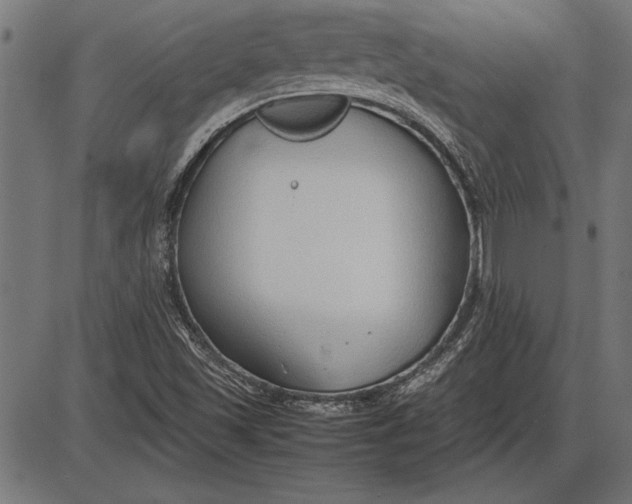 X0000086081501200704091247