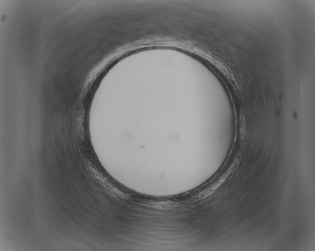 X0000086081502200704091247