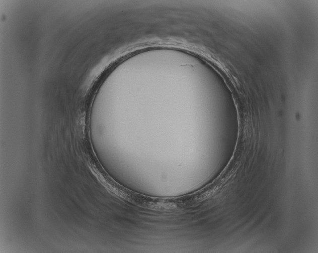 X0000086081503200704091247