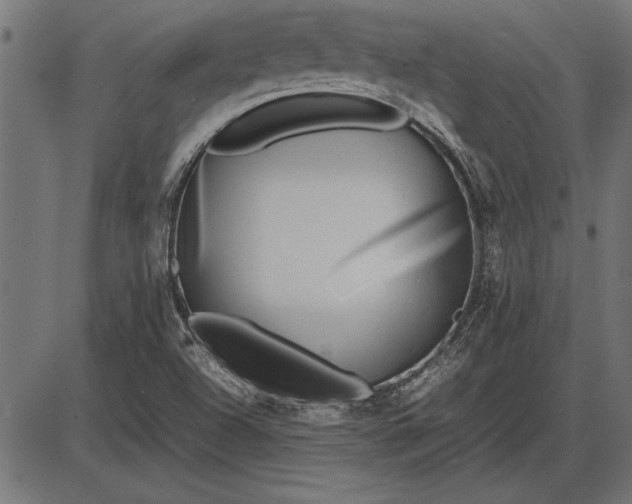 X0000086081504200704091247