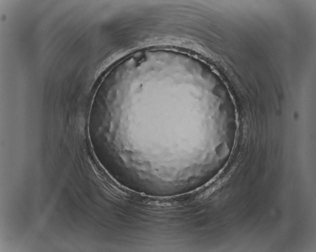 X0000086081505200704091247