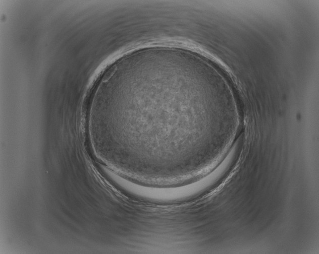 X0000086081506200704091248