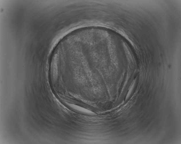 X0000086081508200704091248