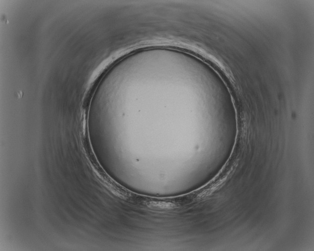 X0000086081509200704091248