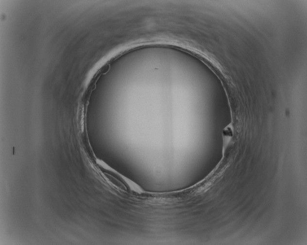 X0000086081510200704091248