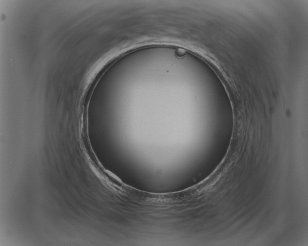 X0000086081511200704091248