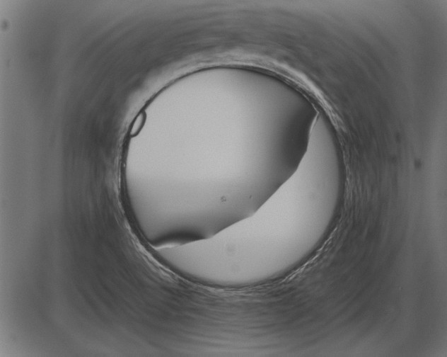 X0000086081512200704091248